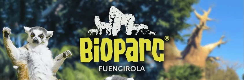 Lee más sobre el artículo BIOPARC Fuengirola