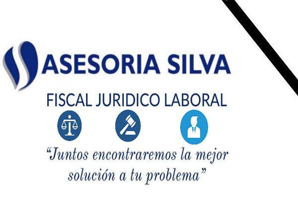 Lee más sobre el artículo ASESORIA SILVA