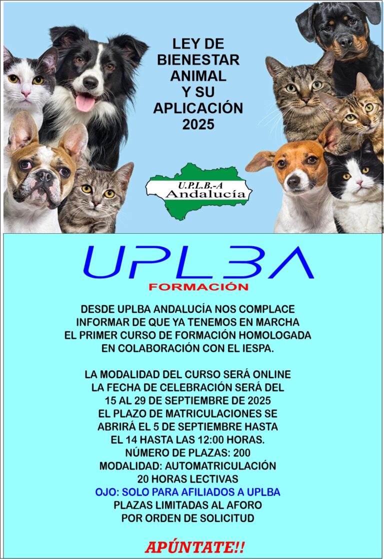 Lee más sobre el artículo CURSO BIENESTAR ANIMAL