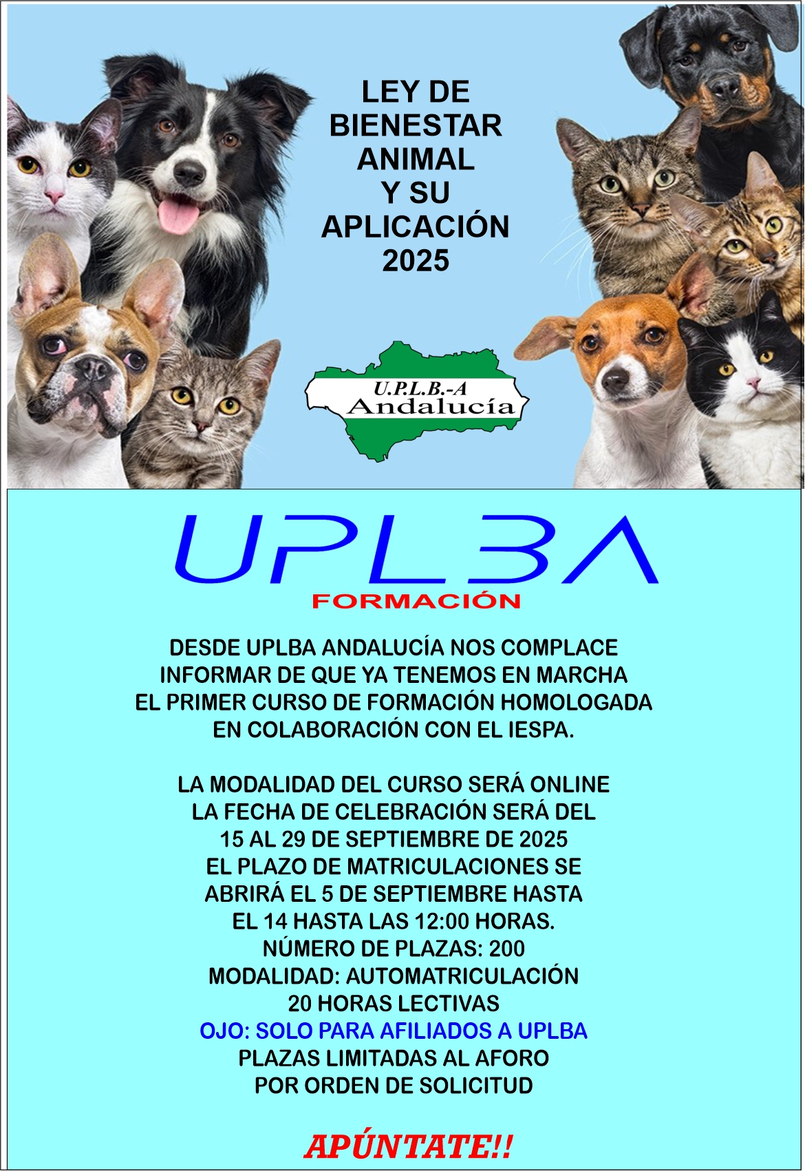 Lee más sobre el artículo CURSO BIENESTAR ANIMAL